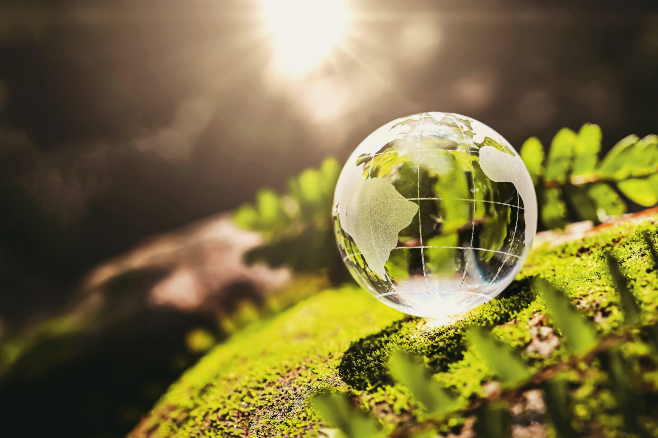 Diplomado Gestión del Medioambiente y Sostenibilidad