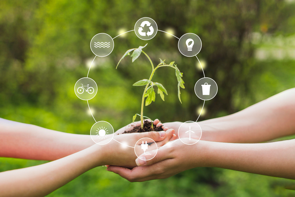 Curso Medio Ambiente y Desarrollo Sostenible