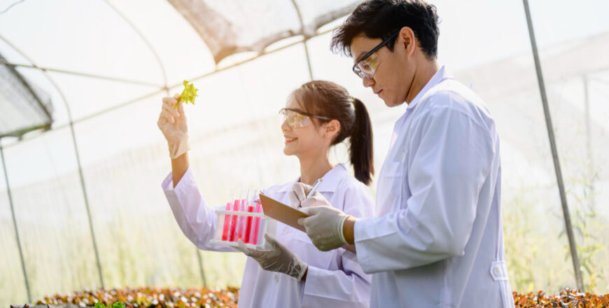 agriculture-gardener-farm-harvest-vegetable-technology-concept-the-farmer-team-conducts-research-about-lettuce-for-good-agricultural-quality-inspection