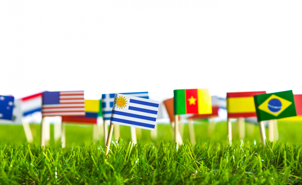 flags-of-different-countries-punctured-on-lawn