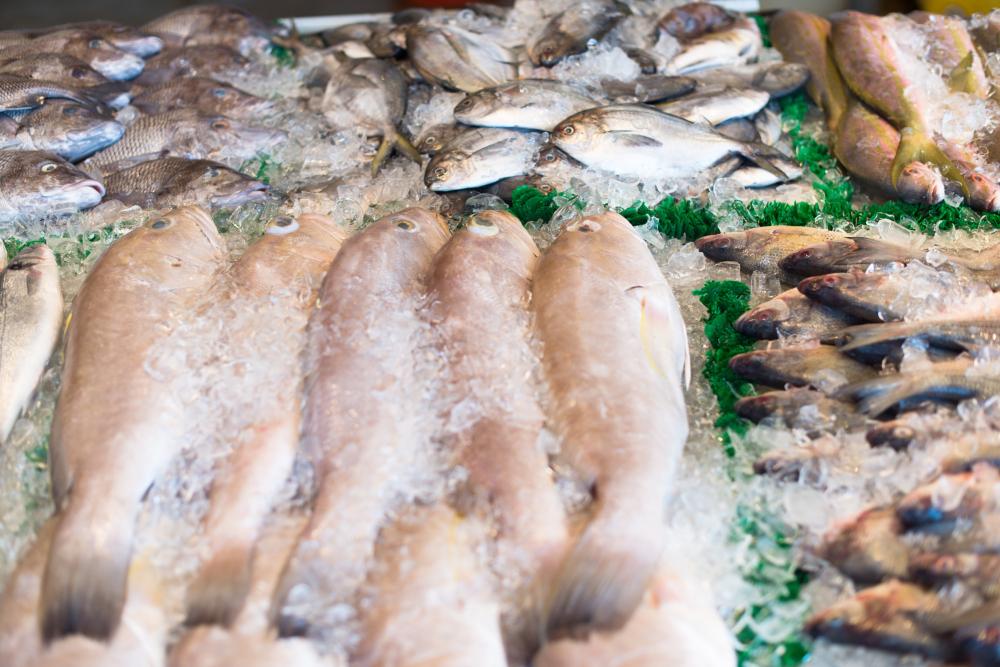 raw-fish-in-market