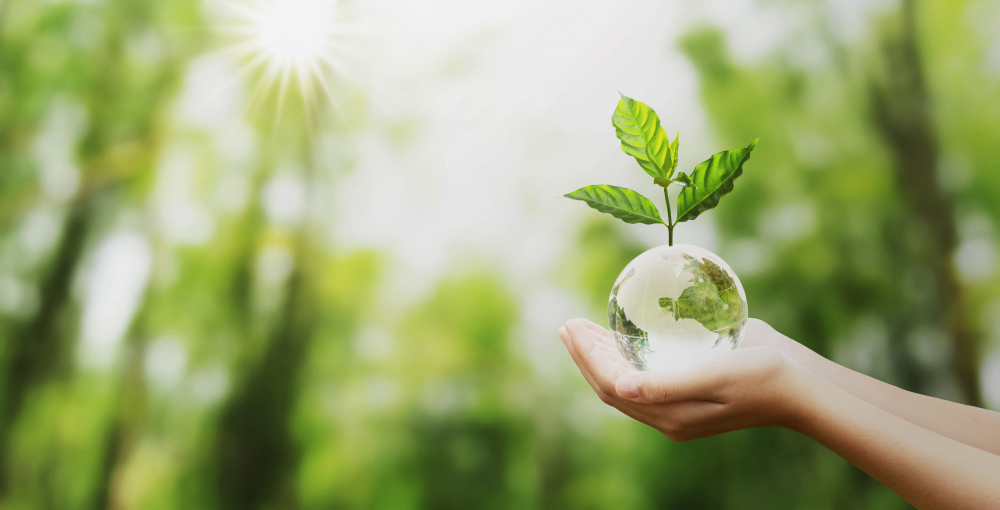hand-holding-glass-globe-ball-with-tree-growing-green-nature-blur-background