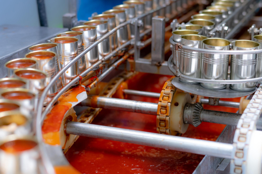 canned-fish-factory-food-industry-sardines-in-red-tomato-sauce-in-tinned-cans-at-food-factory-food