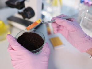 researcher-hold-small-glass-flask-with-soil-performing-ph-test-strip
