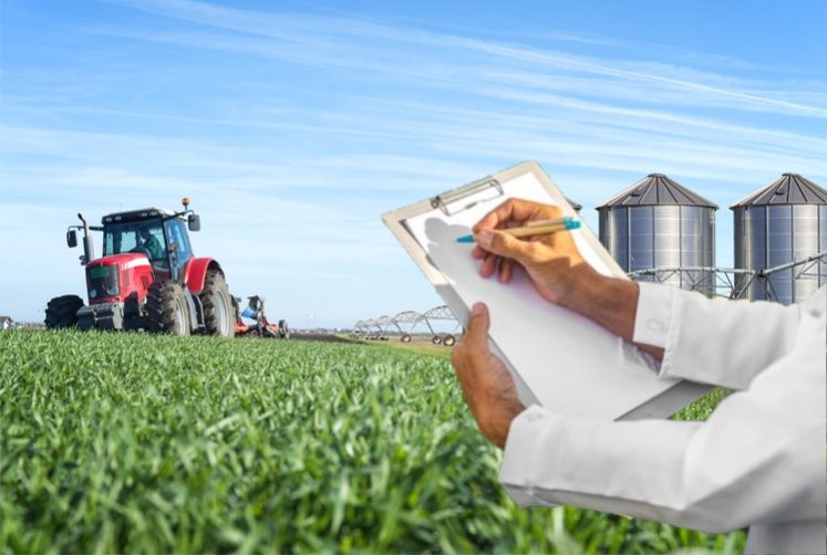 Empresa agropecuaria