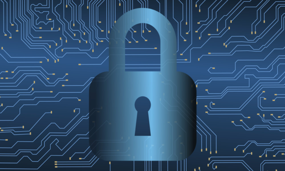 seguridad informatica