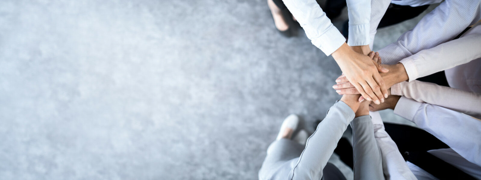 habilidades directivas