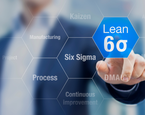 Lean Six Sigma Champion